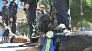 Ecuador condecora a perros detectores de droga, armas y explosivos