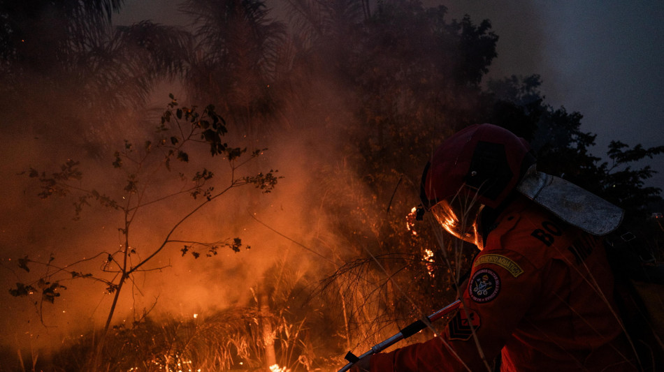 Brasile, 41 arresti per incendi dolosi nello stato di San Paolo