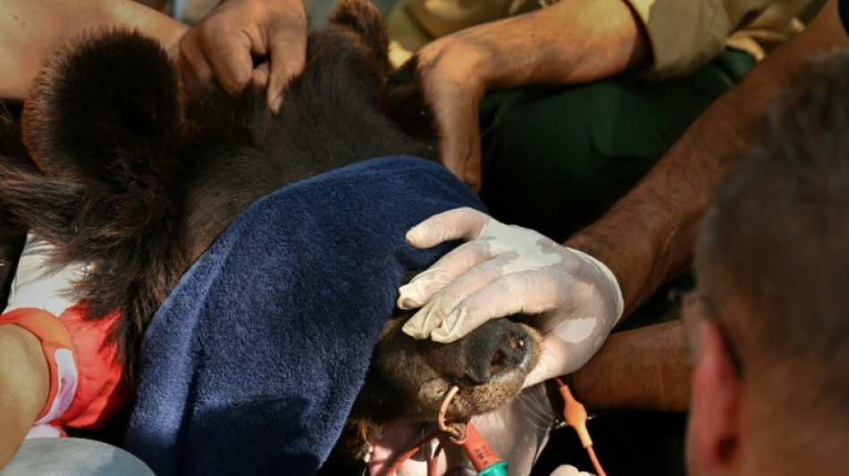 Un viejo zoo de Pakistán se transforma en un centro para salvar a animales maltratados