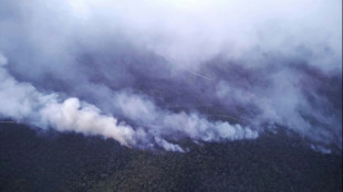 Fast-moving fires torch national parks in southeast Australia