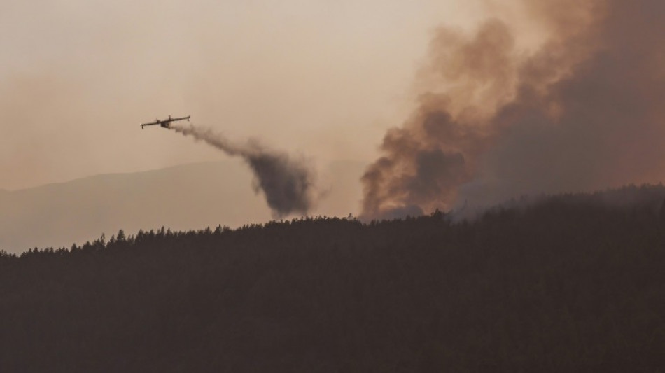 Feuerwehr bekommt riesigen Waldbrand auf Teneriffa in den Griff