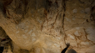 Carrera contrarreloj en Francia para salvar joya del patrimonio prehistórico mundial