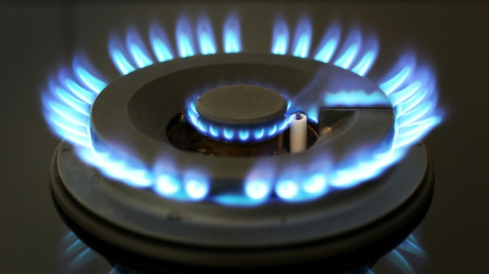 Regierung sieht bei Gaspreisbremse keine Entlastungslücke im Januar und Februar