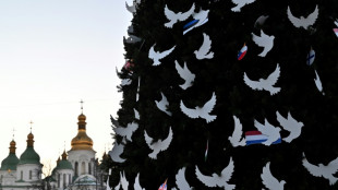 Russia won't 'steal' Christmas: Kyiv mayor unveils festive tree