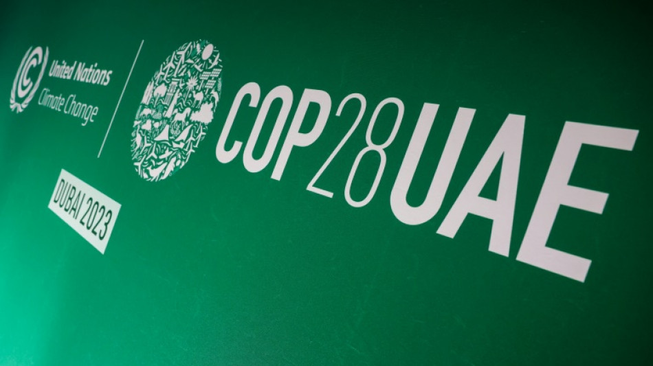 Five things to watch for at COP28 climate talks