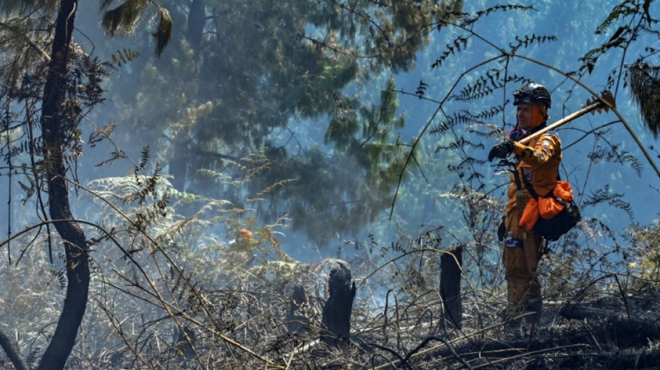 "Este sol no picaba así antes": el fuego sorprende a los Andes colombianos