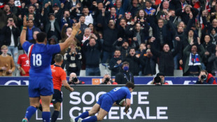 XV de France: et maintenant... la Coupe du monde 2023!