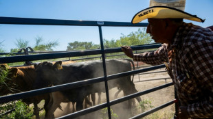 Drought and shrinking herds push US beef prices through the roof