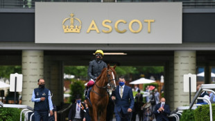 Stradivarius bids to make winning end to Royal Ascot career