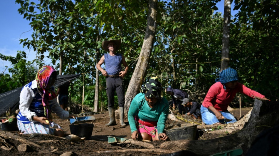 In Colombian jungle, digging up the Americas' colonial past