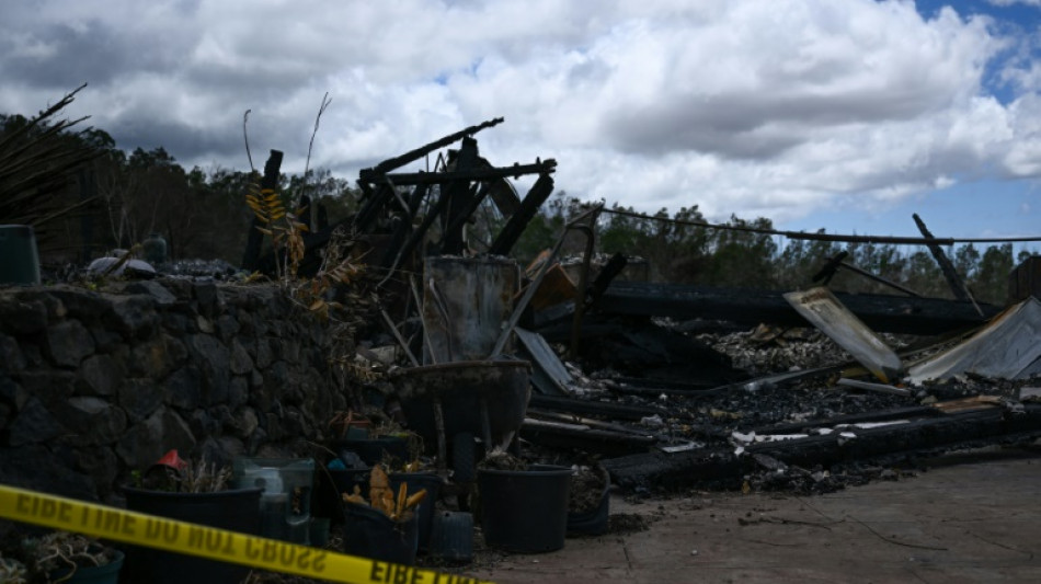 Autoridades temen encontrar cada día "10 o 20" cadáveres más por incendios de Hawái