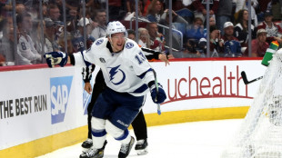 Palat's Lightning strike leaves Avalanche cup party on ice