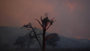 Fiamme in California, almeno 1.200 persone evacuate