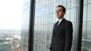 All aboard: Austria's dapper rail boss turned chancellor