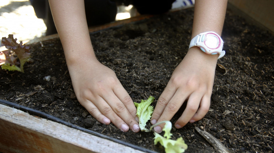 Colombia, chiuse 6.263 scuole in 6 anni per calo delle nascite