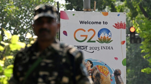 Nueva Delhi se prepara para recibir la cumbre del G20