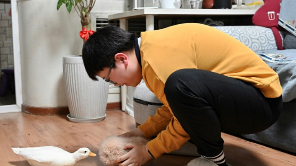 Young Chinese turn to AI pets for emotional relief