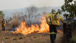 Brasile, le aree bruciate nel Cerrado sono aumentate del 221%