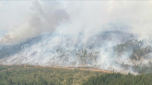 Canada wildfires burn over 10 mn hectares this year