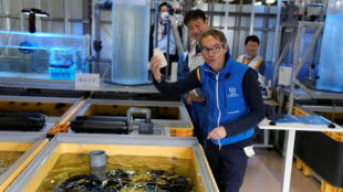 IAEA-Chef tritt Sorgen wegen Einleitung von Wasser aus Akw Fukushima entgegen 