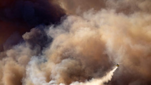 Les pompiers gagnent du terrain face à un incendie destructeur près de Los Angeles