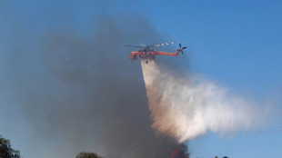 Dörfer nahe Athen wegen Waldbrandes evakuiert