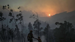 Portugal batalla contra incendios forestales en fin de semana de altas temperaturas