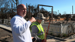 Voluntarios limpian de escombros la exclusiva Palisades tras incendios de Los Ángeles