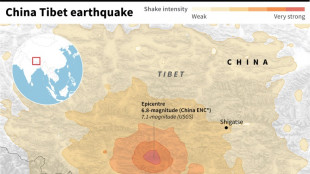 Quake in China's Tibet kills 95 with tremors felt in Nepal, India