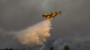 Cientos de bomberos libran una "enorme batalla" contra los incendios en Grecia