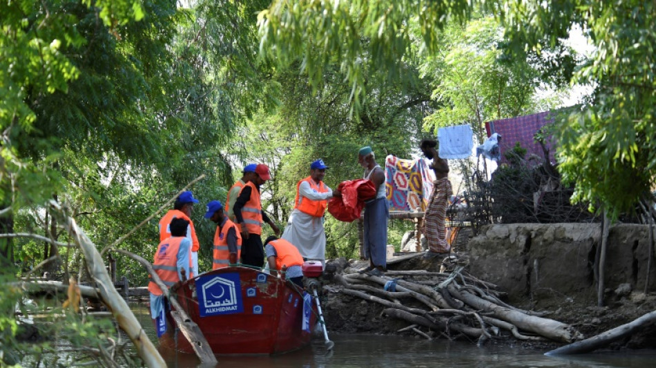 Pakistan: des villageois bravent la faim et les serpents pour protéger leurs terres inondées