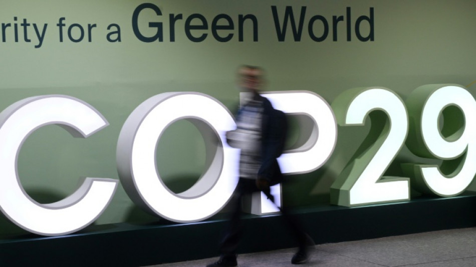 World approves UN rules for carbon trading between nations at COP29