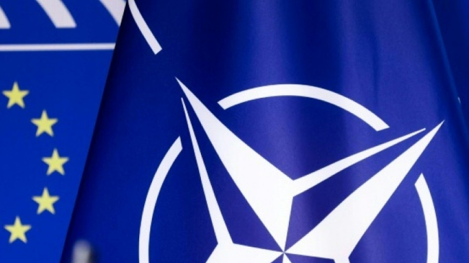 Schwedens Regierungspartei stimmt für Nato-Beitrittsgesuch