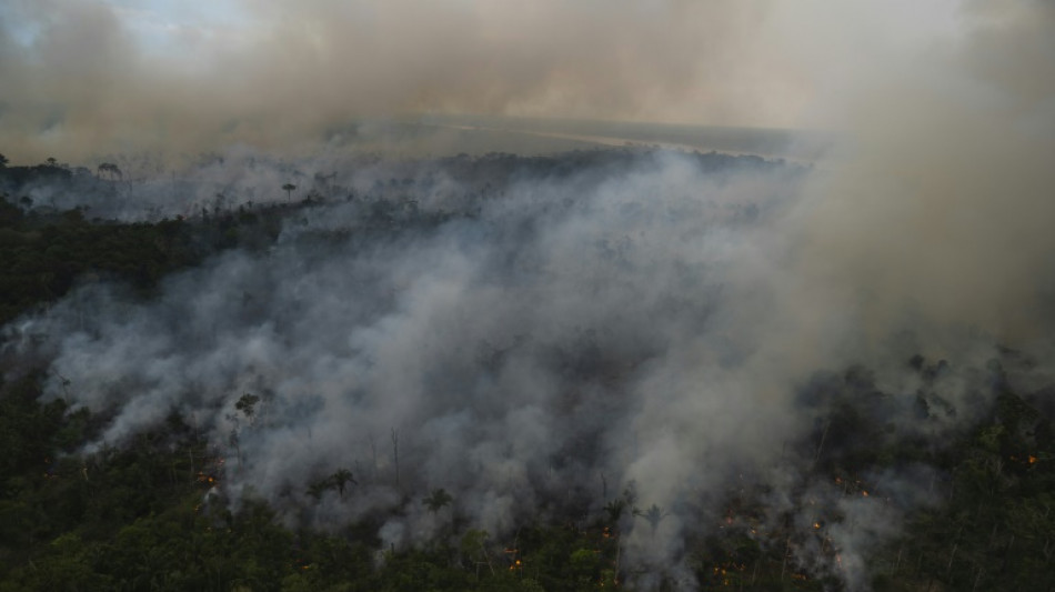 Brazil sets new six-month Amazon deforestation record