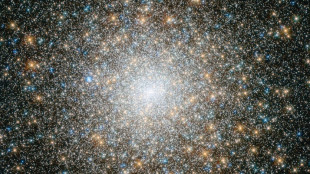 Webb spots giant star clusters shaping galaxy in early universe