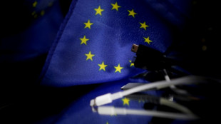 EU lawmakers impose single charger for all smartphones