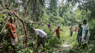 Madagascar: le cyclone Batsirai fait 10 morts et des dizaines de milliers de déplacés