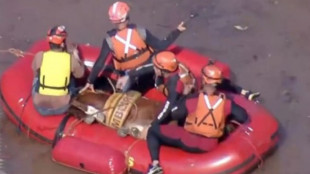 Salvato il cavallo bloccato dall'acqua su un tetto in Brasile