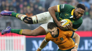 Erasmus issues warning for surging Boks ahead of All Blacks rematch