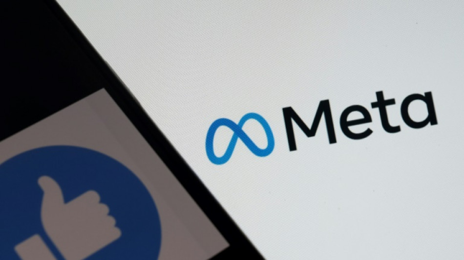 Meta's quarterly profit dives as tough economy hits tech