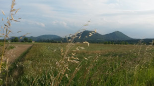 I Colli Euganei conquistano l'Unesco