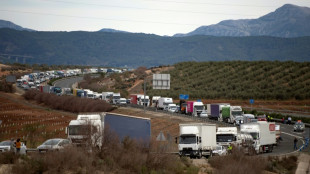 Los agricultores españoles continúan las protestas y bloqueos de carreteras