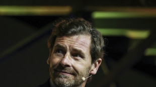 Former Chelsea manager Villas-Boas elected president of FC Porto