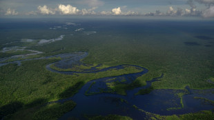 Colombia propondrá fondo internacional para campesinos que preserven la Amazonía