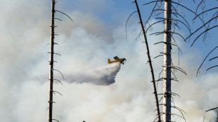 Kampf gegen Waldbrand am Brocken: Flammen breiten sich nicht weiter aus