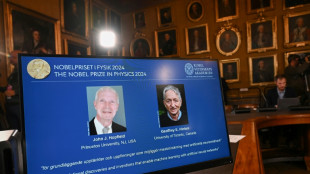 John Hopfield e Geoffrey Hinton ganham Nobel de Física por seus trabalhos sobre aprendizagem automática