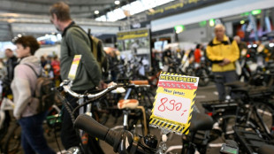 Europe's bike industry hits bumps as cycling craze cools