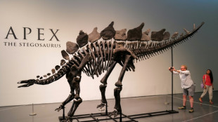 Billionaire Ken Griffin revealed as $44.6m dinosaur fossil buyer