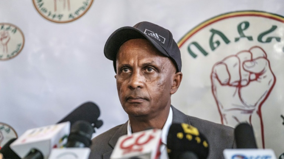 Ethiopian dissident Eskinder Nega arrested: political party