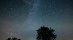 Largo alle stelle cadenti nel cielo d'agosto